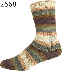 Paradise Color ONline Sockenwolle 312 Farbe 2668