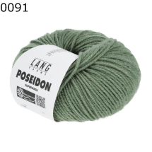Poseidon Lang Yarns Farbe 91