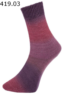 Pro Lana Sockenwolle Susten Farbe 3