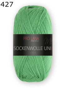 Pro Lana Sockenwolle uni 4f Farbe 427