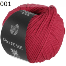 Promessa Lana Grossa Farbe 1