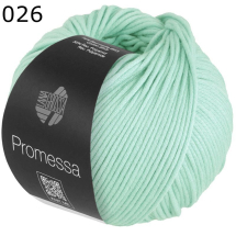 Promessa Lana Grossa Farbe 26