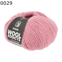 Promise Lang Yarns Farbe 29
