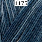 Regia 4 fach Color Farbe 1175