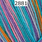 Regia 4 fach Color Farbe 2881