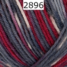 Regia 4 fach Color Farbe 2896