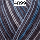 Regia 4 fach Color Farbe 4899