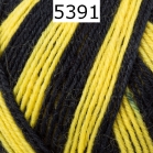 Regia 4 fach Color Farbe 5391