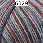 Regia 4 fach Color Farbe 6029