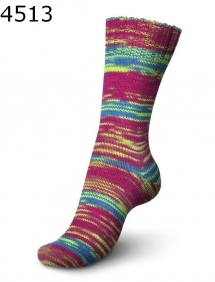 Regia Academy Color Farbe 513