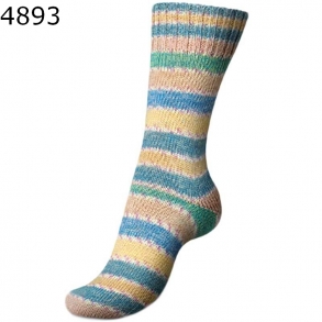 Regia Etude Color Farbe 4893