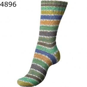 Regia Etude Color Farbe 4896