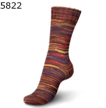 Regia Pop Art Color Farbe 5822