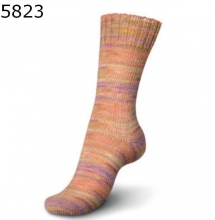 Regia Pop Art Color Farbe 5823