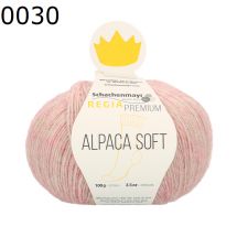 Regia Premium Alpaca Soft Farbe 30