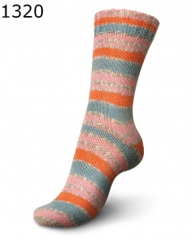 Regia Sport Color Farbe 1320