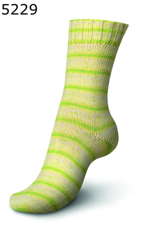 Regia Tutti Frutti Color Farbe 229