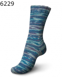 Regia Vibrant Color Farbe 6229