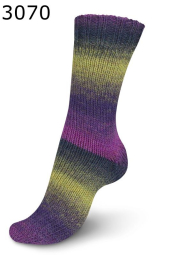 Regia Virtuoso Color Farbe 70