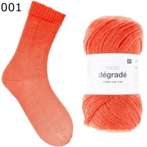 Rico Sockenwolle Degrade Farbe 1