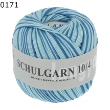 Schulgarn Lang Yarns Farbe 171