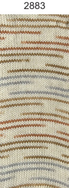 Silk Color ONline Sockenwolle 343 Farbe 883
