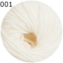 Starwool Big Linie 13 von Online Wolle Farbe 1