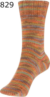 Step 6 Lucky Austermann Farbe 829