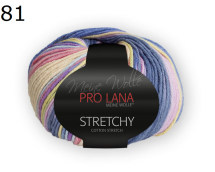 Stretchy color Pro Lana Farbe 81