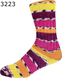 Supersocke 393 Amazonas ONline Sockenwolle Farbe 223