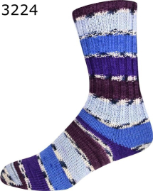 Supersocke 393 Amazonas ONline Sockenwolle Farbe 224