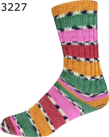 Supersocke 393 Amazonas ONline Sockenwolle Farbe 227