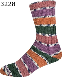 Supersocke 393 Amazonas ONline Sockenwolle Farbe 228