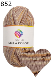 Twister Sox 4 Color Sockenwolle Farbe 852