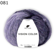 Vision Color Pro Lana Farbe 81