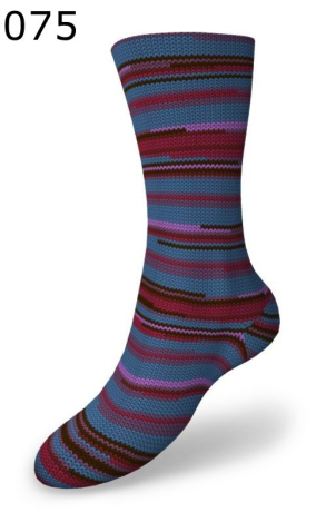 Voolis Sockenwolle Nordland Farbe 75
