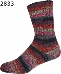 Walking Color ONline Sockenwolle 337 Farbe 833