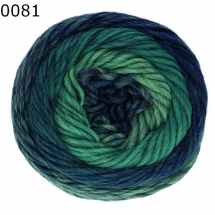 Wash Filz it Fine multicolor Schachenmayr Farbe 81