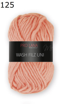 Wash Filz uni Pro Lana Farbe 125