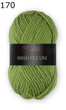 Wash Filz uni Pro Lana Farbe 170