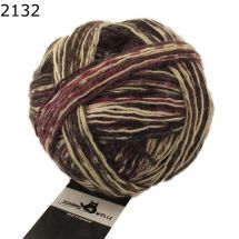 Wunderklecks Schoppel Wolle Farbe 2132