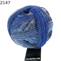 Wunderklecks Schoppel Wolle Farbe 2147