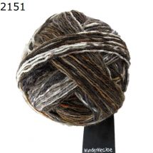 Wunderklecks Schoppel Wolle Farbe 2151