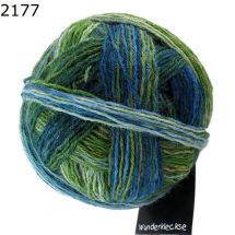 Wunderklecks Schoppel Wolle Farbe 2177