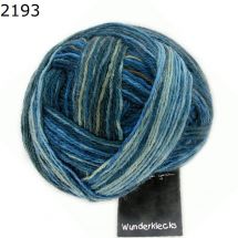 Wunderklecks Schoppel Wolle Farbe 2193