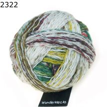 Wunderklecks Schoppel Wolle Farbe 2322