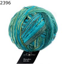 Wunderklecks Schoppel Wolle Farbe 2396