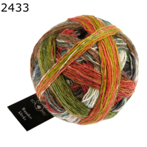 Wunderklecks Schoppel Wolle Farbe 433