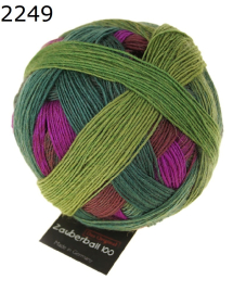 Zauberball 100 Pro Schoppel Wolle Farbe 2249