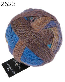 Zauberball 100 Pro Schoppel Wolle Farbe 623